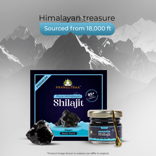 Pransutraa Pure Himalayan Shilajit Resin I 30g