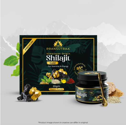 Pransutraa Shilajit Gold Resin | 20g