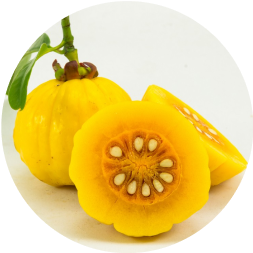ingredient-image