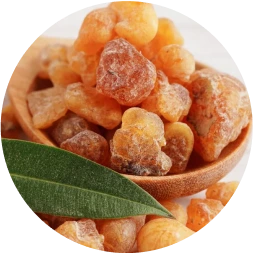 ingredient-image